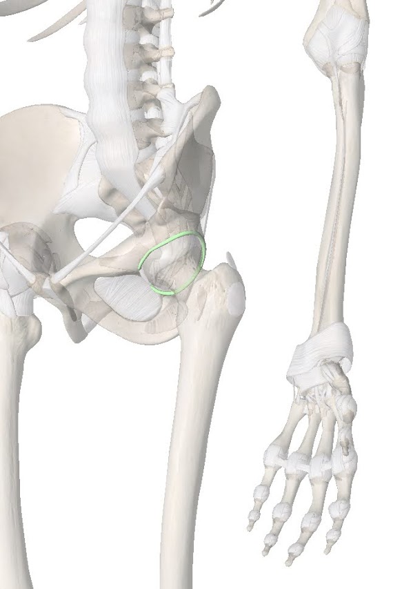 Labral Tear