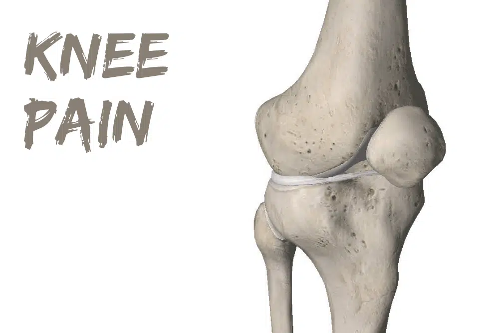 Knee Pain