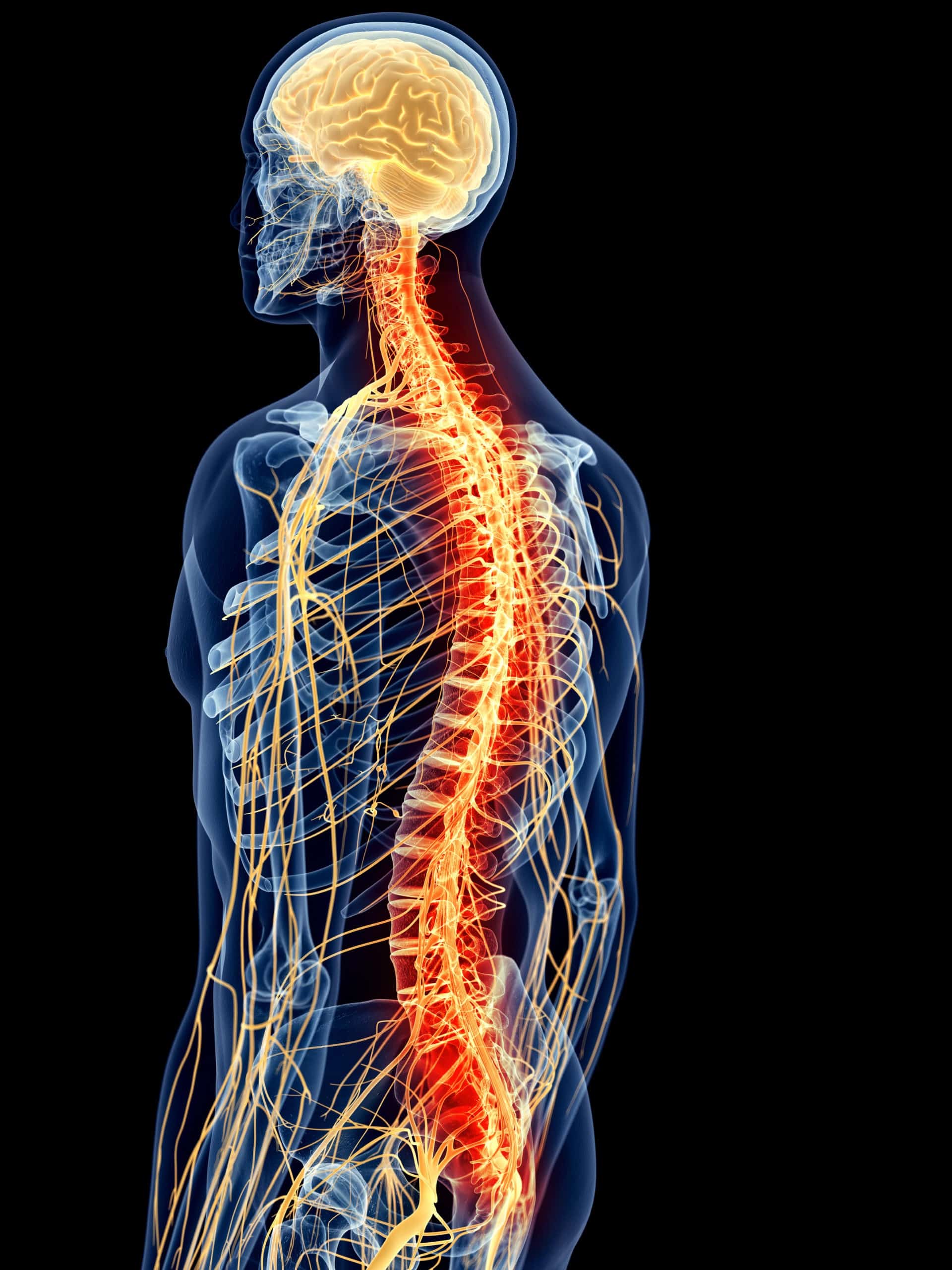 Functional Neurology What We Do