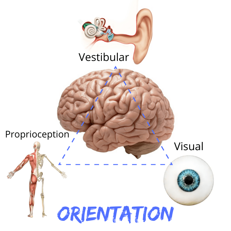 orientation