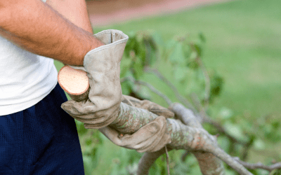Fall Gardening Tips To Prevent Common Injuries